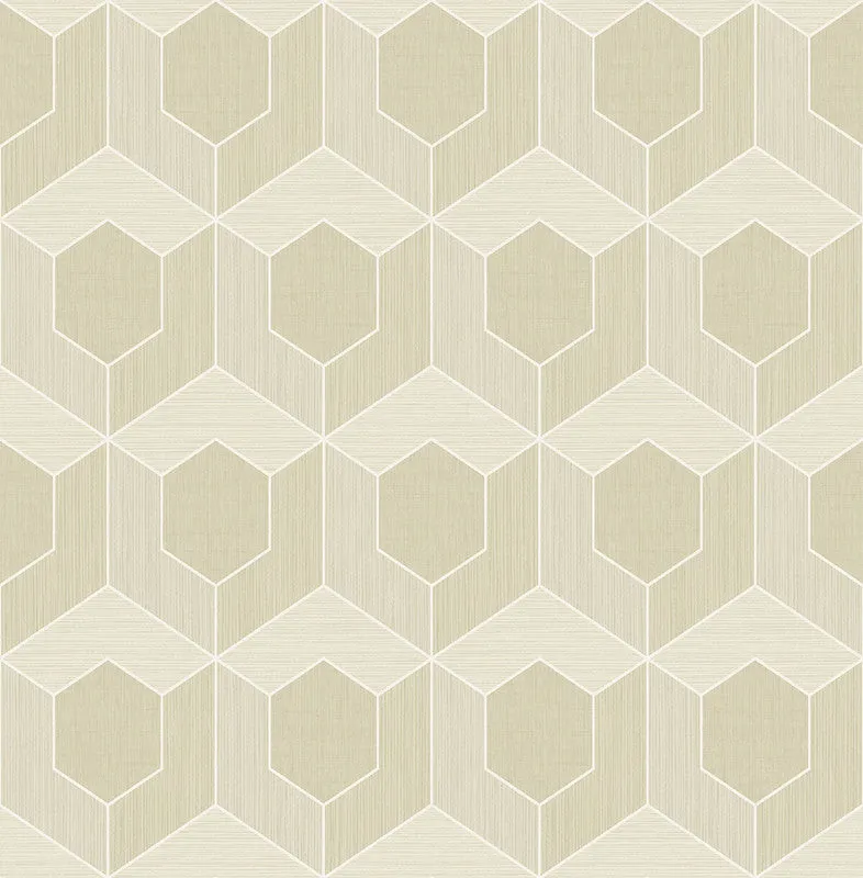 3D Hexagon Wallpaper in Beige