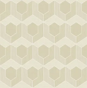 3D Hexagon Wallpaper in Beige