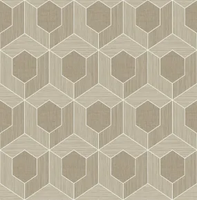 3D Hexagon Wallpaper in Brown