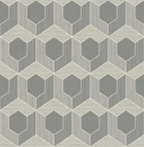 3D Hexagon Wallpaper in Dark Grey