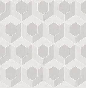 3D Hexagon Wallpaper in Soft Grey