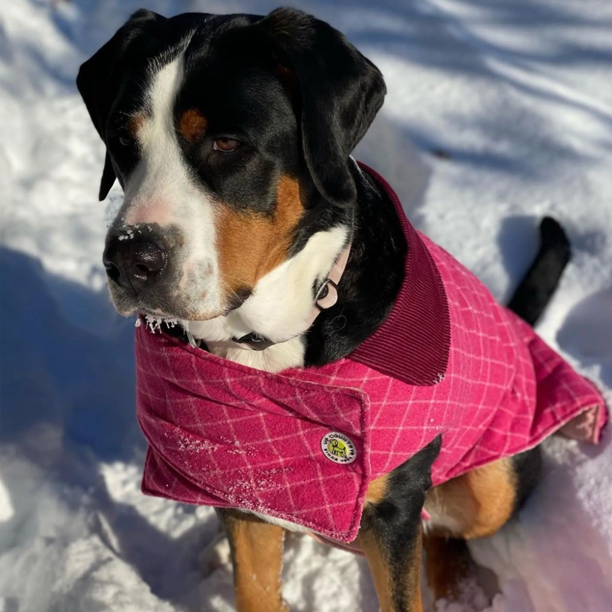 Pink Tweed Coat