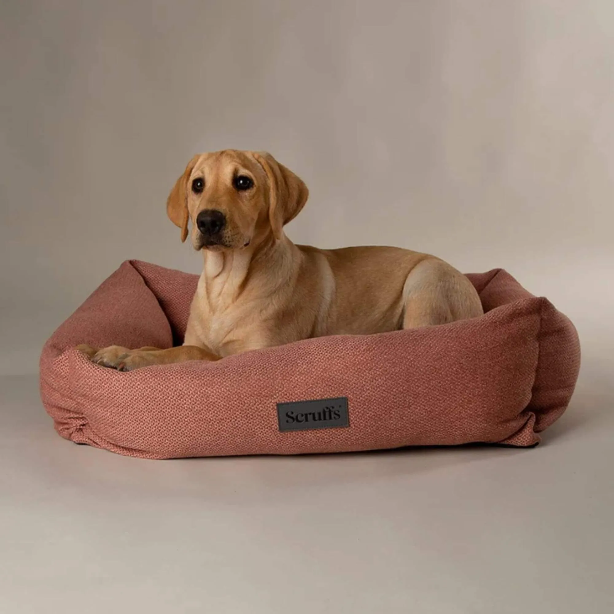 Scruffs Seattle Box Dog Bed